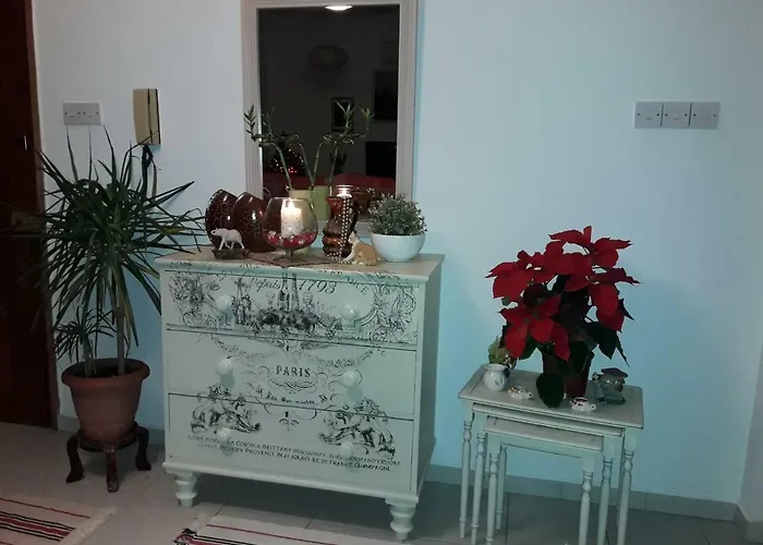 Shared 1st Floor リマソール